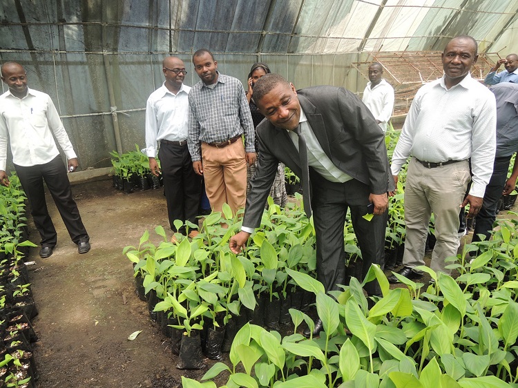 Lutte contre la famine Le VP Moustadroine Abdou reçoit plusieurs tonnes de semence de banane